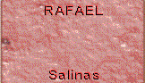 RafaelF_Salinas.gif (5644 Byte)