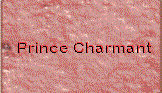 princecharmant.gif (5642 Byte)
